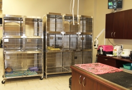 Cat Boarding Area