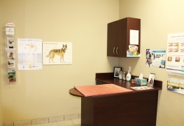 Dog Exam Room