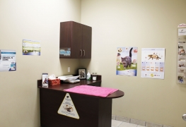 Cat Exam Room